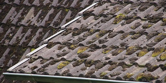 Dachdecker Unterbilk